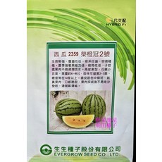 榮橙冠2號 西瓜種子 黃肉西瓜 不易走沙 夏季強著果能力佳, 1包