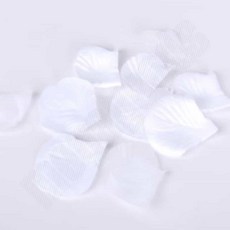 꽃잎 컨페티 화이트 100장 웨딩꽃가루 종이꽃가루