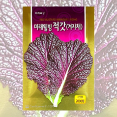 적갓 씨앗 (겨자채씨앗) 2000립 [26년포장] 미래 적갓종자