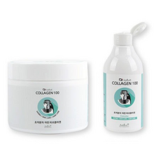 닥터 아미셀 콜라겐 100 (300ml) 초저분자 피쉬콜라겐 파우더, 1개, 300ml