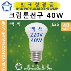 크립톤전구 백열등 백열램프 백색 40W E26소켓 10개입, 크립톤40W(불투명)E26 [10개입], 전구색(노란빛)
