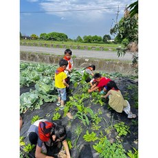 瑞岩紅米 花青素 紅米 瑞岩, 1個, 真空包裝