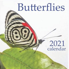 Butterflies: 2021 Wall & Office Calendar 12 Month Calendar Paperback, Independently Published