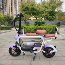 전기스쿠터 페달 접이식 강아지 전동 스쿠터 출퇴근용 배달용 바이크, B_2인용 48V15A
