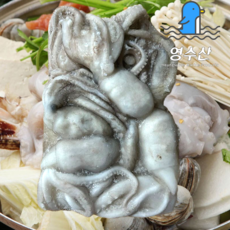냉동낙지 활낙지 5.1kg 4미 벌크 볶음용 연포탕, 1박스