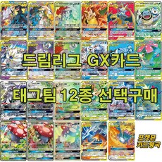 포켓몬카드 드림리그 GX카드12종 전종 선택구매 미개봉팩2개~10개, 9.실버디HR, 1개