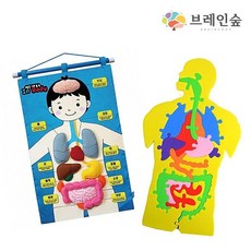 소프트 신체학습 2종세트 신체학습 신체퍼즐 벽걸이교구 학습교구 EVA퍼즐, 1개