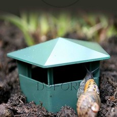 달팽이 집 사육장세트, 1개, one