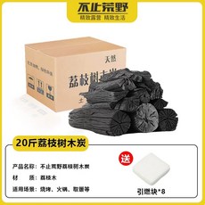 대나무숯 무연 점화숯 5kg 바베큐용 구이 숯불 캠핑 사각 큐브, N. 리치숯 20kg 한박스 점화블록 무료