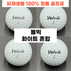 볼빅 흰볼 골프 로스트볼 A+, 화이트, 50개입, 1개