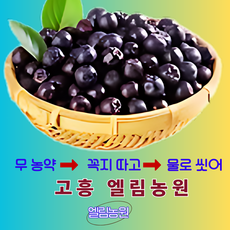 특품 무농약 + 꼭지따고+물로씻은 아로니아 생과 5kg, 1개