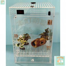 本町萌寵 壓克力爬蟲樹棲直立式外拉抽屜飼養箱寵物箱\蜘蛛守宮角蛙樹蛙甲蟲蛇直立式外拉抽屜全透明壓克力爬寵箱飼養箱, 1個, 抽屜飼養箱(面寬25深25高40cm)