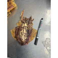 振新商行 墨魚乾 / 章魚乾, 1個, 6隻