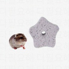 햄스터 토끼 동물용 이갈이 치아스톤 설치류 미네랄 칼슘, 별