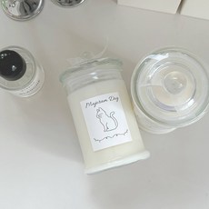 컬러센트 반려동물전용 천연소이캔들, 고양이(면심지), 1개, 560g