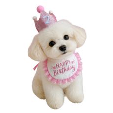 와이유 강아지 생일파티용 옷 세트, 1개, 핑크