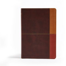 (영문도서) NIV Rainbow Study Bible Cocoa/Terra Cotta/Ochre Leathertouch Imitation Leather, Holman Bibles, English, 9781433646119