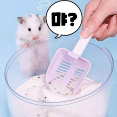 (BEST) 카르노 햄스터 소동물 화장실 모래 삽, 피치, 1개