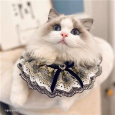 강아지 넥워머 고양이 타월 스카프 제품 귀여운 애완 반려동물 벨 겨울 삼 니트 크리스마스 악세사리 칼라 동물, 5.블랙골드 XS-초소형