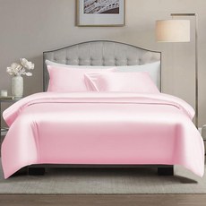 AiMay 새틴 이불 커버 세트 침구 럭셔리 리치 실크 실키 슈퍼 소프트 단색 2피스 1장 + 베개 허니문 섹시 양면 얼룩 방지 트윈 그레이 150646, 핑크