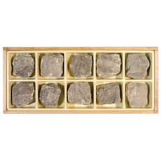 지학 석회암 표본 10종 세트 퇴적암 암석 과학교실 실험용 실험