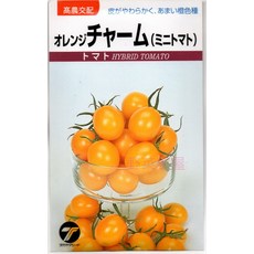 高農交配 橙色查理 (迷你番茄) hybrid tomato 種子, 1包