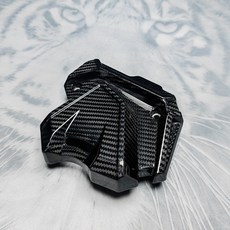 適用摩托車川崎 KAWASAKI Ninja 650 17-25 改裝碳纖維鏈輪罩配件, 1個