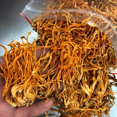 《黃金蟲草花》, 半斤/300g
