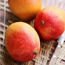 [후레쉬망고] 브라질 애플망고 1.3kg내외 4과, 1개