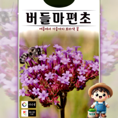 KS종묘 버들마편초 300립 다년생 꽃씨 씨앗 종자, 1개