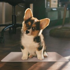 도모아 애완동물 알루미늄 패드 L, 1개, 상세페이지 참조