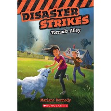 난파선이야 난파선이 아니야, 기본