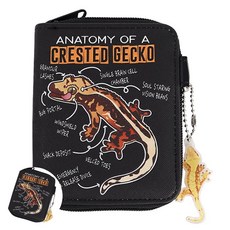 [팔마누] 여자초등학생지갑 초등학생지갑 아동지갑 크레스티드 게코 남학생 지갑