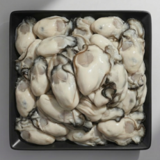 통영 생굴 최상급 당일수확 굴, 1개, 2kg