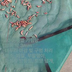 새벽남자 참깨망 곡물건조망 농사용그물망 건조망, 10목 건조망 4x6m, 1개