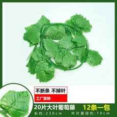 仿真葡萄葉藤蔓爬山虎藤條，常青藤綠蘿植物假綠葉吊頂裝飾，綠植牆壁裝飾, 20葉大葉葡萄藤（12條裝）, 1個