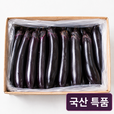 정담상회 국내산 가지 특품 신선한 가지, 1개, 1kg
