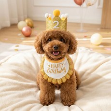 오울 강아지 고양이 생일 파티 턱받이 왕관 숫자 스티커 세트 1개, 1세트, 옐로우