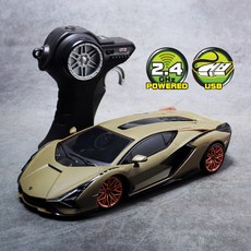 마이스토 1:24 람보르기니 시안 FKP 37 하이스피드 무선조종자동차 2.4Ghz USB충전, 1개