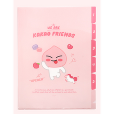 카카오프렌즈 5포켓 파일, 1개, 어피치