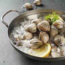 황도 국내산 생물 동죽(물총)조개5kg, 1, 단품