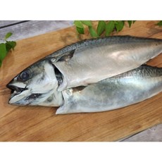 국내산 자반 고등어 반찬 생선구이, 1세트, 특대 1미
