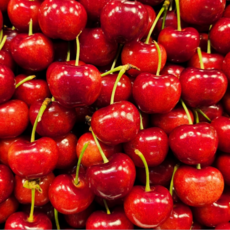 칠레산 미국산 생체리 빙체리 항공 코랄 체리, 1세트, 대과 300g