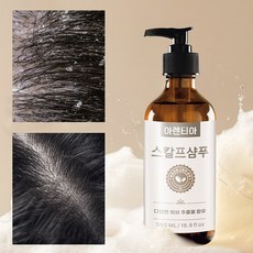 안티비듬샴푸 청소년 샴푸 문제성 두피 샴푸 지루성 두피 샴푸 여자 비듬샴푸 1위 남자 비듬샴푸 1위 가려운두피 비듬 샴푸 탈모 두피 스케일링, 1개, 500ml