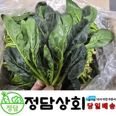 [ 정담상회 ] 국내산 시금치 지방시금치 1kg 2kg 4kg 내외, 1박스