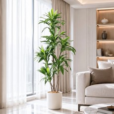頂級擬真幸運木1.5公尺室內大型仿真植栽（贈送花盆）, 綠, 1個