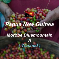 와이엠지빈스 파푸아뉴기니 모로비 블루마운틴 A 워시드 생두 1KG, 1개