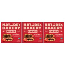 네이쳐스베이커리 피그 바 스트로베리 비건 홀 그레인, 56.7g, 18개