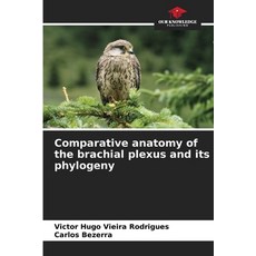 (英文圖書)Comparative anatomy of the brachial plexus and its phylogeny 平裝版, Our Knowledge Publishing, 英文