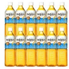 웅진 탕비실 식후음료 하늘보리 나들이 소풍 디저트 1l 12개, 1세트